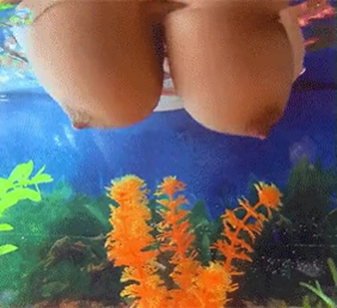 Bouncing in aquarium