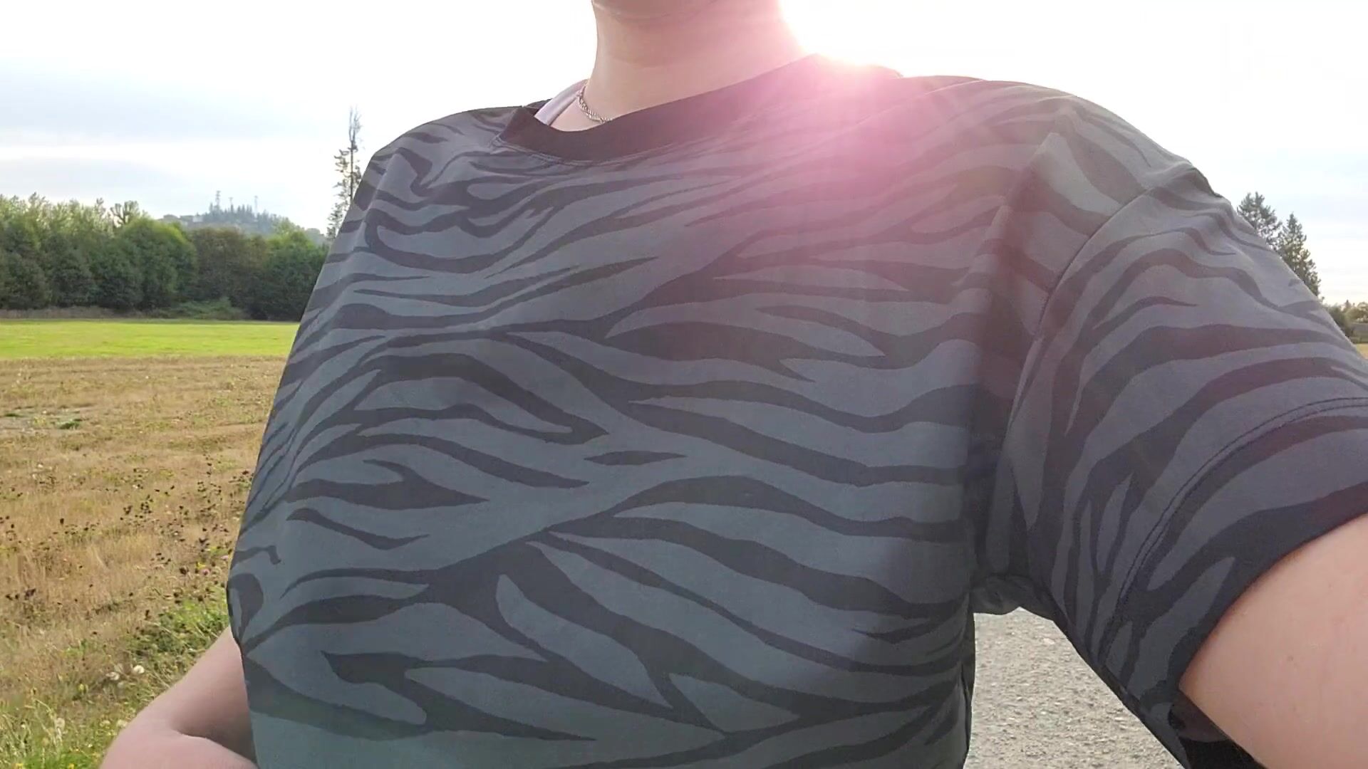 Taking my nightly walk... would you say hi and join me? ????????