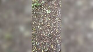 Random boob flash while walking :)